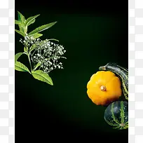 ������Ҷֲ���߲�-������