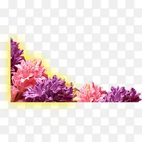 彩色节日手绘花朵-空若网 彩色节日手绘花朵-空若网