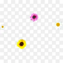 Ψ����ɫ��������-������