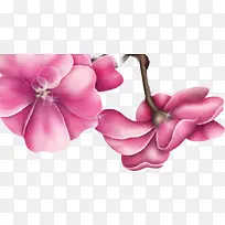 中秋节彩色手绘花朵-空若网 中秋节彩色手绘花朵-空若网