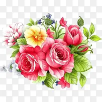 ������ֻ��ɫ����-������