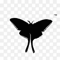 卡通蝴蝶-空若网 卡通蝴蝶-空若网