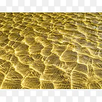 ���Ʊ���-������