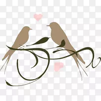 ��ͷ�������ļ���������������-������