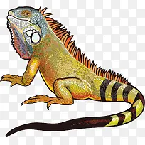 创意卡通蜥蜴装饰图案-空若网 创意卡通蜥蜴装饰图案-空若网