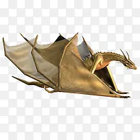 飞龙-空若网 飞龙-空若网