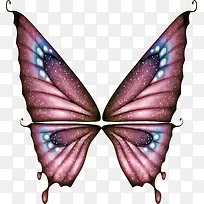 蝴蝶-空若网 蝴蝶-空若网