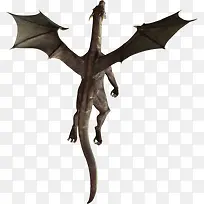 神话巨龙-空若网 神话巨龙-空若网