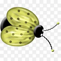 手绘虫子-空若网 手绘虫子-空若网