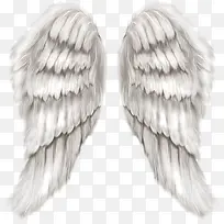 手绘翅膀-空若网 手绘翅膀-空若网