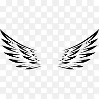 翅膀-空若网 翅膀-空若网