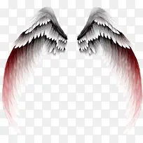 渐变天使翅膀-空若网 渐变天使翅膀-空若网