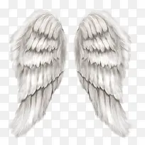 翅膀-空若网 翅膀-空若网