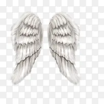 翅膀-空若网 翅膀-空若网