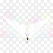 白色唯美意境蝴蝶-空若网 白色唯美意境蝴蝶-空若网