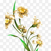 水彩花卉-空若网 水彩花卉-空若网