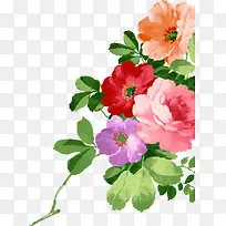 ˮ�ʻ���-������