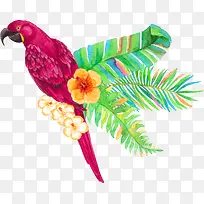 õ������-������