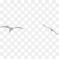 卡通手绘海鸥-空若网 卡通手绘海鸥-空若网