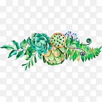 ˮ������ֲ����ɫ-������