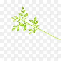 手绘黄绿色水彩植物-空若网 手绘黄绿色水彩植物-空若网