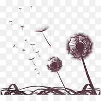 �ѹ�Ӣ-������