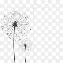 可爱创意蒲公英飞舞-空若网 可爱创意蒲公英飞舞-空若网