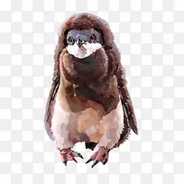 手绘卡通企鹅-空若网 手绘卡通企鹅-空若网