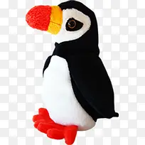 毛茸茸的可爱小企鹅-空若网 毛茸茸的可爱小企鹅-空若网