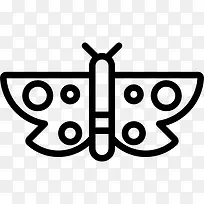 蝴蝶图标-空若网 蝴蝶图标-空若网
