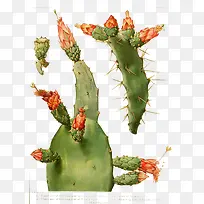 ������-������