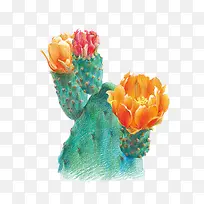 插画-空若网 插画-空若网