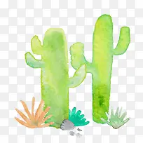 绿色仙人掌-空若网 绿色仙人掌-空若网