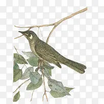 Äñ-¿ÕÈôÍø Äñ-¿ÕÈôÍø