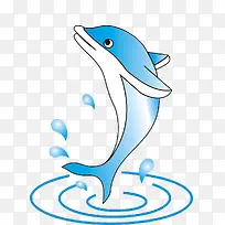 海豚 动物 可爱-空若网 海豚 动物 可爱-空若网
