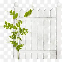 ���С��-������