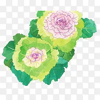 水彩花卉家纺装饰图-空若网 水彩花卉家纺装饰图-空若网