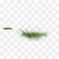 草-空若网 草-空若网