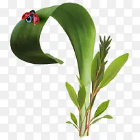 �̲�-������