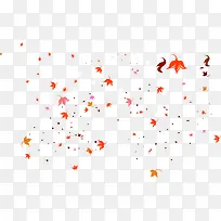 橙色树叶漂浮-空若网 橙色树叶漂浮-空若网
