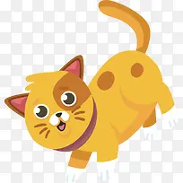 ��ͨСèPNG����-������