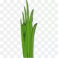 ÏßÌõÒÕÊõ¼ôÌù»-Â̲Ý-¿ÕÈôÍø ÏßÌõÒÕÊõ¼ôÌù»-Â̲Ý-¿ÕÈôÍø