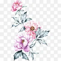 手绘 水彩花-空若网 手绘 水彩花-空若网