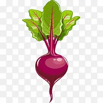 矢量时尚卡通蔬菜设计素材-空若网 矢量时尚卡通蔬菜设计素材-空若网