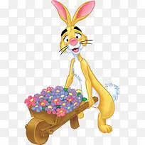 �ɰ���ͨС���Ӷ�������-������