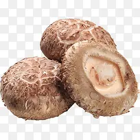 香菇菌类食物食材-空若网 香菇菌类食物食材-空若网