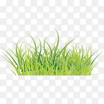 С��-������