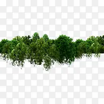 ²ÝµØ-¿ÕÈôÍø ²ÝµØ-¿ÕÈôÍø