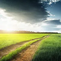 高清摄影环境渲染效果草原-空若网 高清摄影环境渲染效果草原-空若网