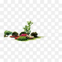 绿色草原小树-空若网 绿色草原小树-空若网